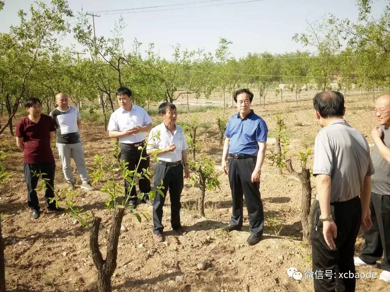 翟家沟村人口_崔庙翟沟后沟安路灯(3)