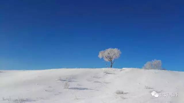 六月,内蒙古这个地方下雪了,好一幅水墨丹青!