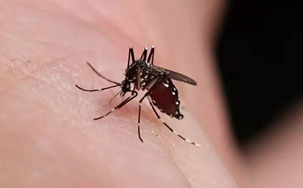 被蚊子咬了 可以用注射器抽出蚊子包内毒液吗