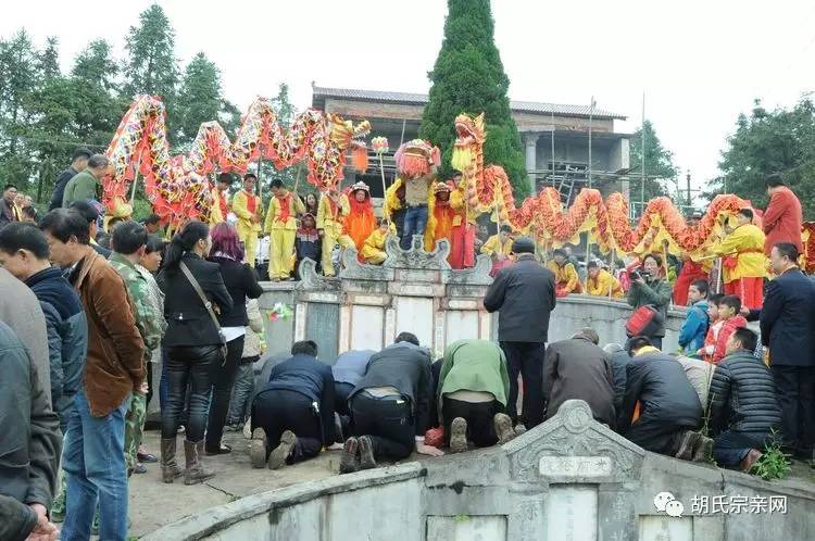 祭拜贯塘胡杨五代祖胡杨文庵公,胡杨志斌宗亲恭读祭文.