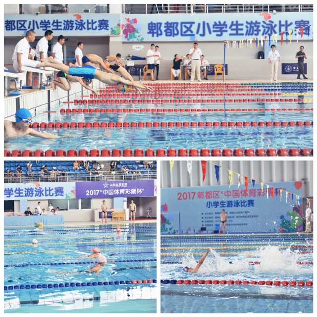 新辰体育全力协办2017郫都区"中国体育彩票杯"小学生游泳比赛!