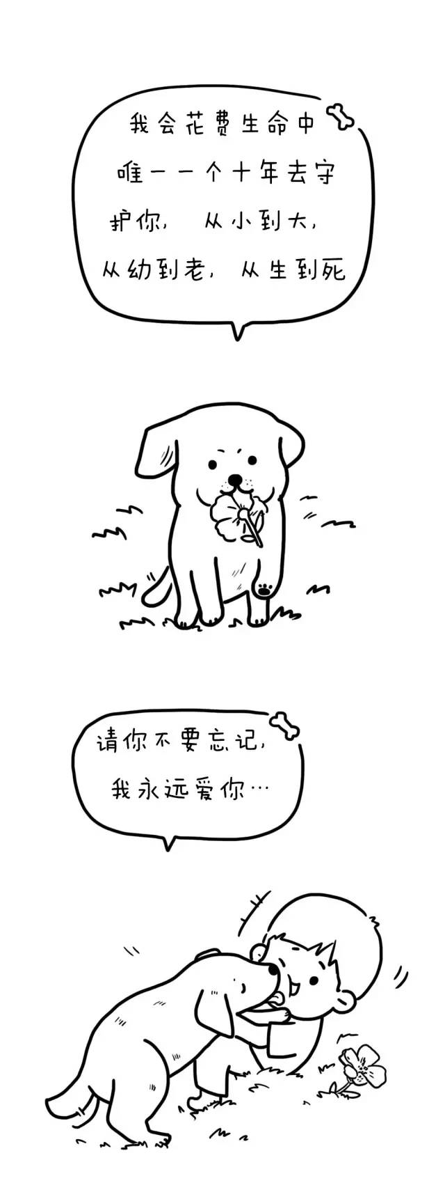 感动千万养宠主人的漫画：如果狗狗会说话……