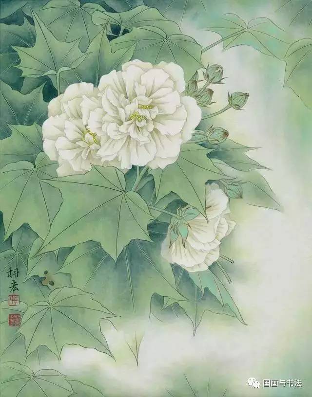 工笔芙蓉花真是太漂亮了