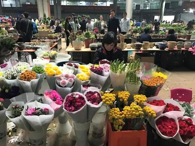 探访国内最大花卉交易市场