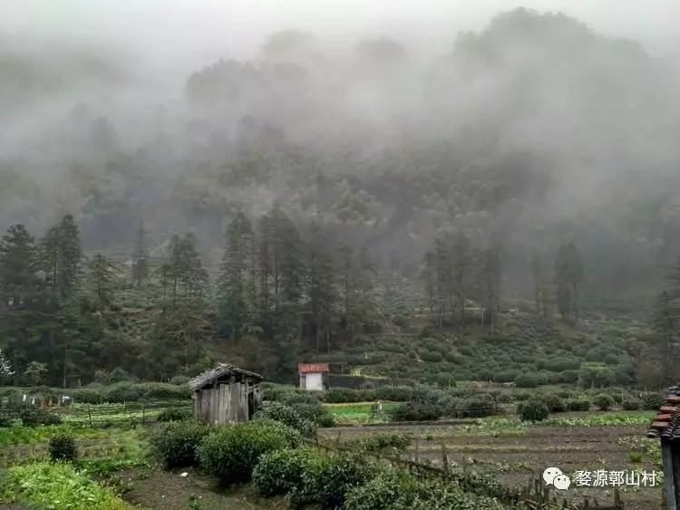 初探婺源鄣山顶:山居生活,乐趣无穷!