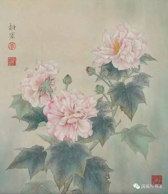 工笔芙蓉花,真是太漂亮了!