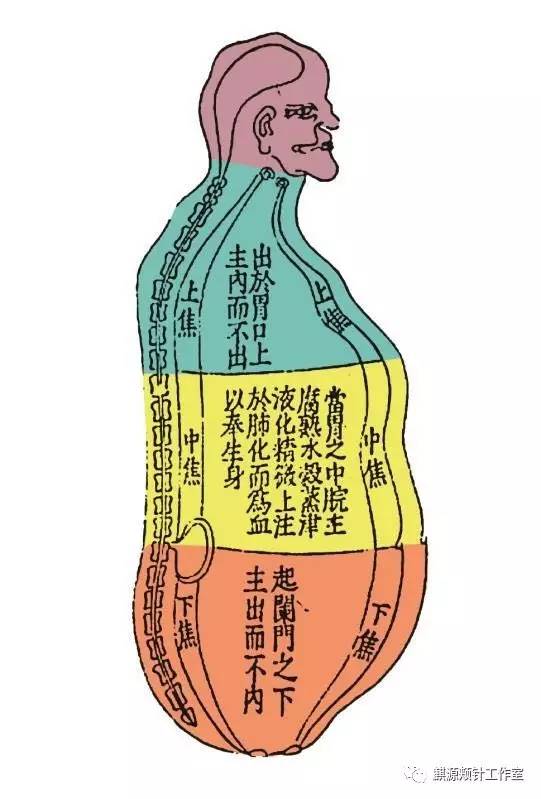 颊针疗法丨颊针"大三焦"理论解读(二)