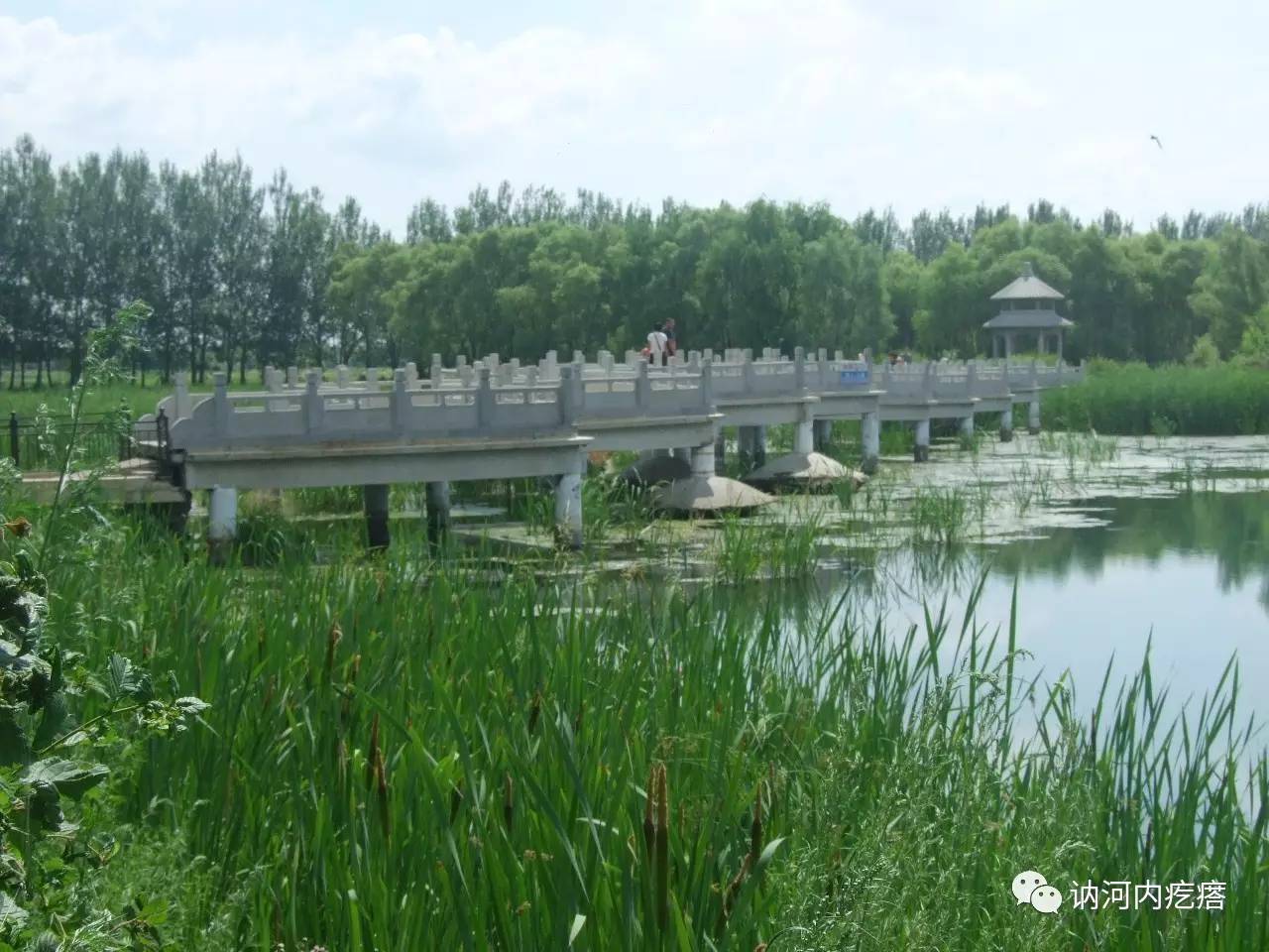 讷河雨亭公园 今年迎来建园一百周年