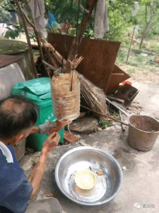 农村大叔自己发明的杀鸡道具, 太有才了!_搜狐搞笑