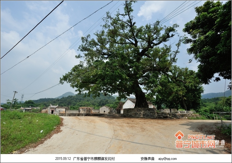 普宁村落:麒麟发坑村