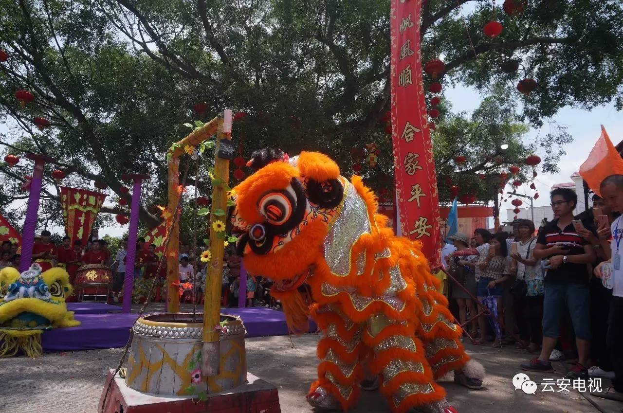 庙会期间还举行丰富多彩的民间文化活动,如 八音锣鼓表演,唱戏,舞狮等