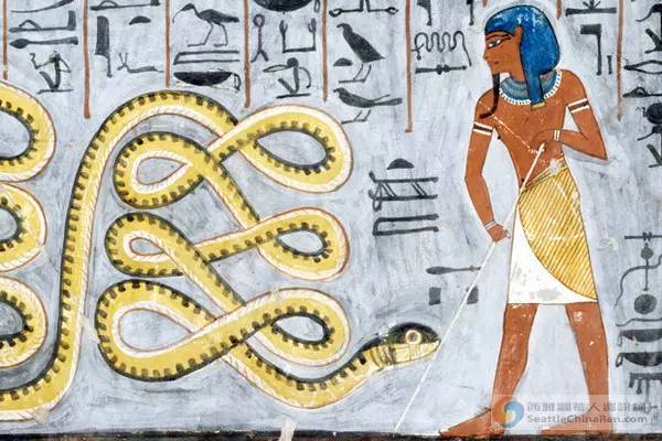古埃及蛇神阿波菲斯的图案.