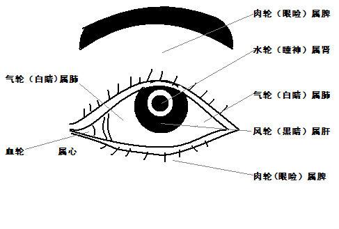 眼部诊出异常征兆教你如何透过眼睛看健康