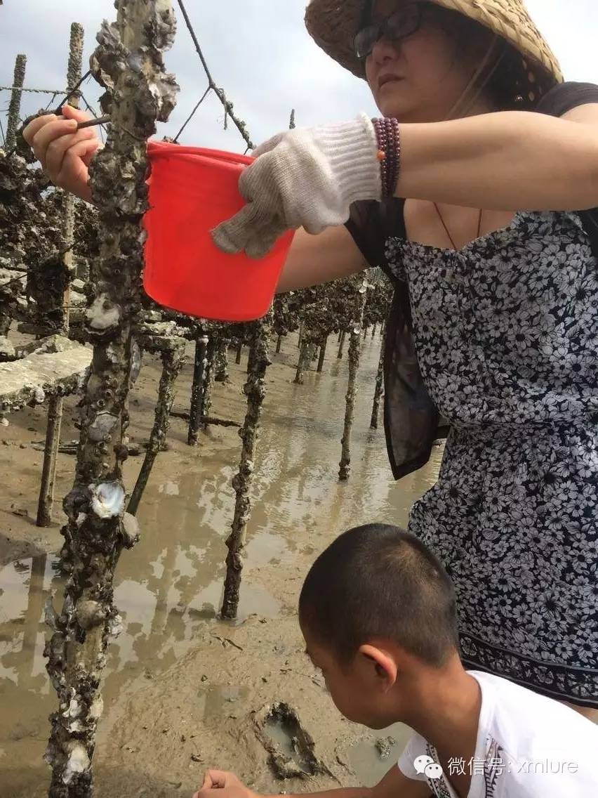 路亚亲子一日游:海钓捕鱼 赶海挖蚝 报名帖