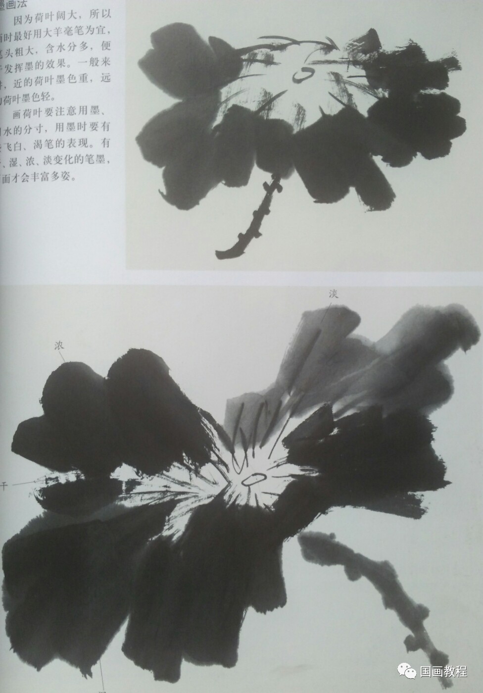 【国画教程】7集,荷花的步骤画法(7)