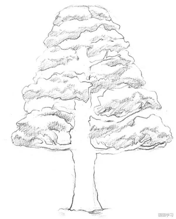 教你画一棵树 超详细教程,不看白不看