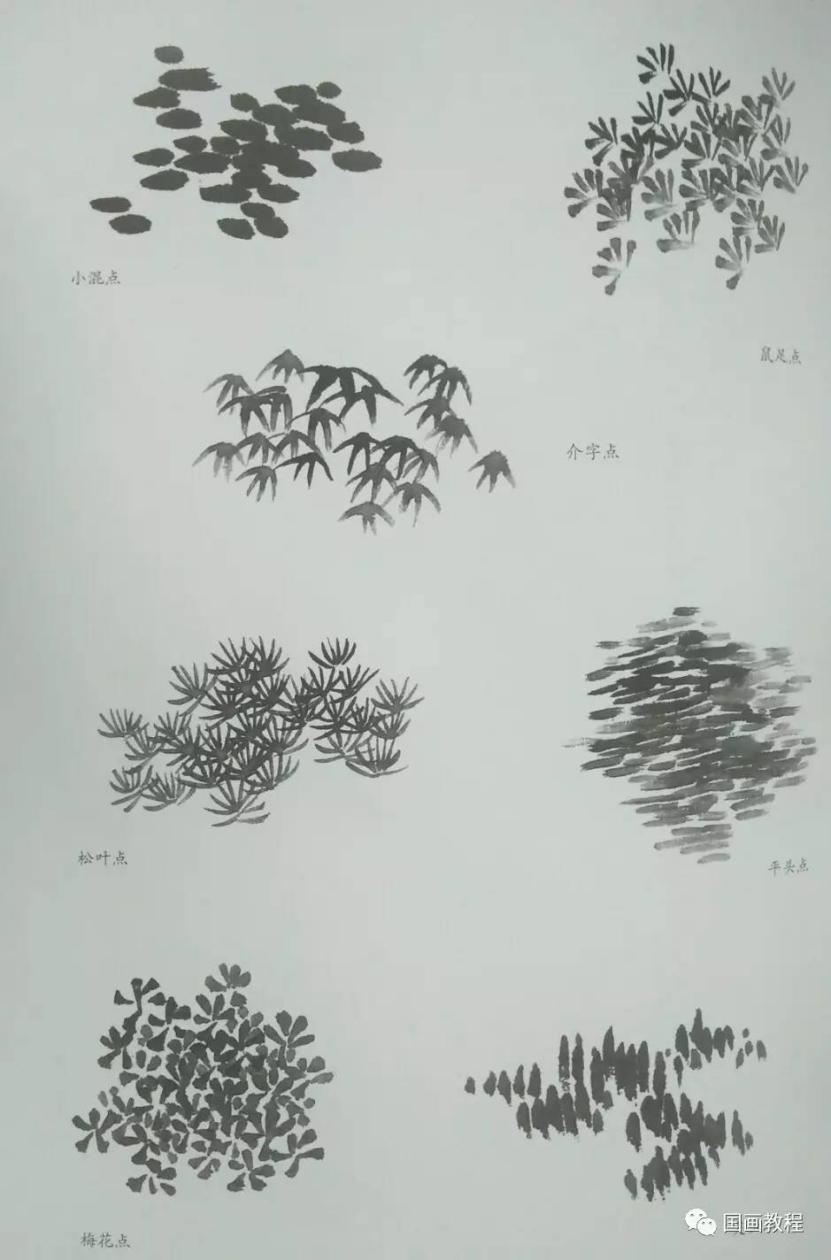 【国画教程】山水树的画法