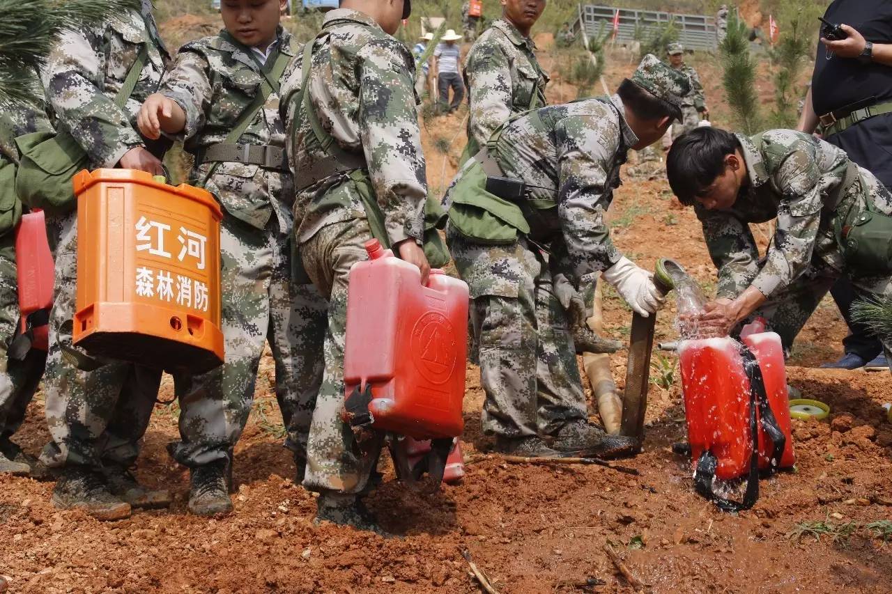 【点赞】个旧呢干部全体总动员上山种树!愿你一直生活