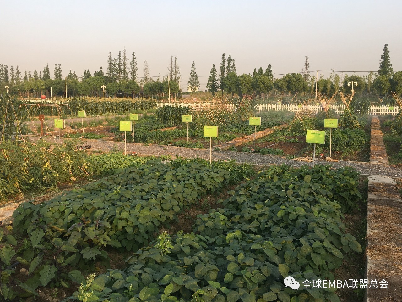 e盟开心农场在等您∣走进自然,共同搭建您的私家生态园