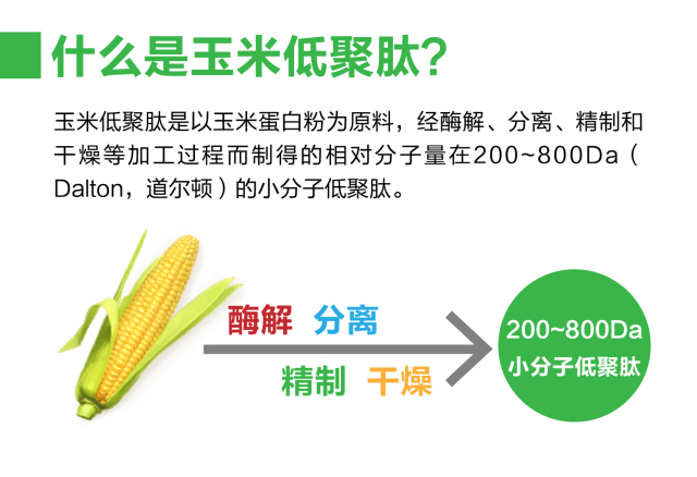 涨知识葛玉肽饮中的玉米肽到底为什么能解酒