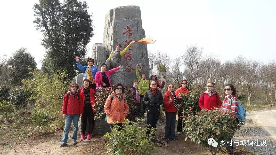 2015年度全国规划评优襄阳市尹集乡规划