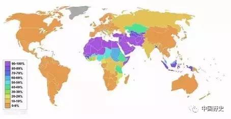 穆斯林的人口_伊斯兰国为何总将恐袭目标对准法国