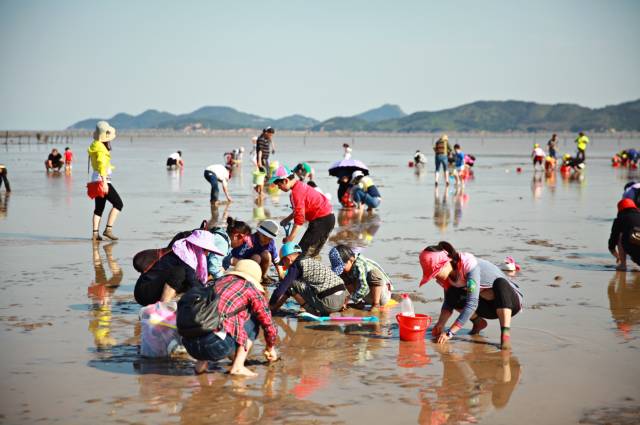 【赶海一号】滩涂赶海 农庄生态体验 篝火晚会露营二日游