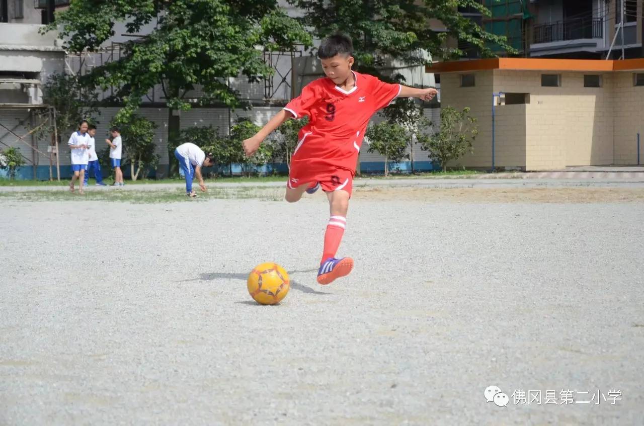 黄俊皓黄江亮黄家照陈廷基陈贝宁曹宇隽黄铭辉李嘉梁宋鸿彬吴艺华易榕