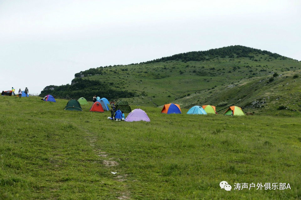 17-18日小苹果相约山西圣王坪高山草甸 与狼毒花约会-漫山野花任你采