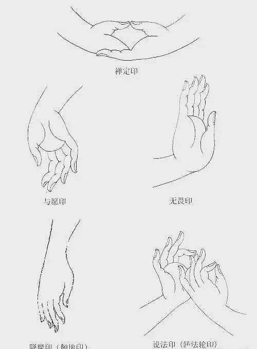 禅定印 禅定印——是以双手仰放下腹前,两拇指的指端相接.