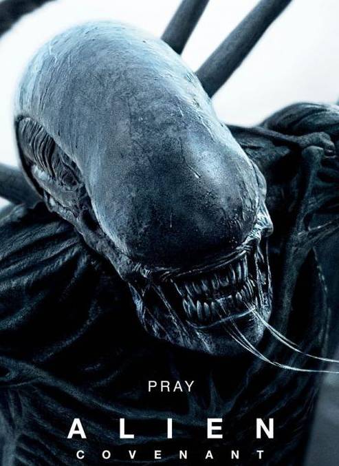 娱乐 正文 经典科幻恐怖ip 《异形:契约》 alien: covenant 导演