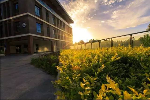 乐山师范学院