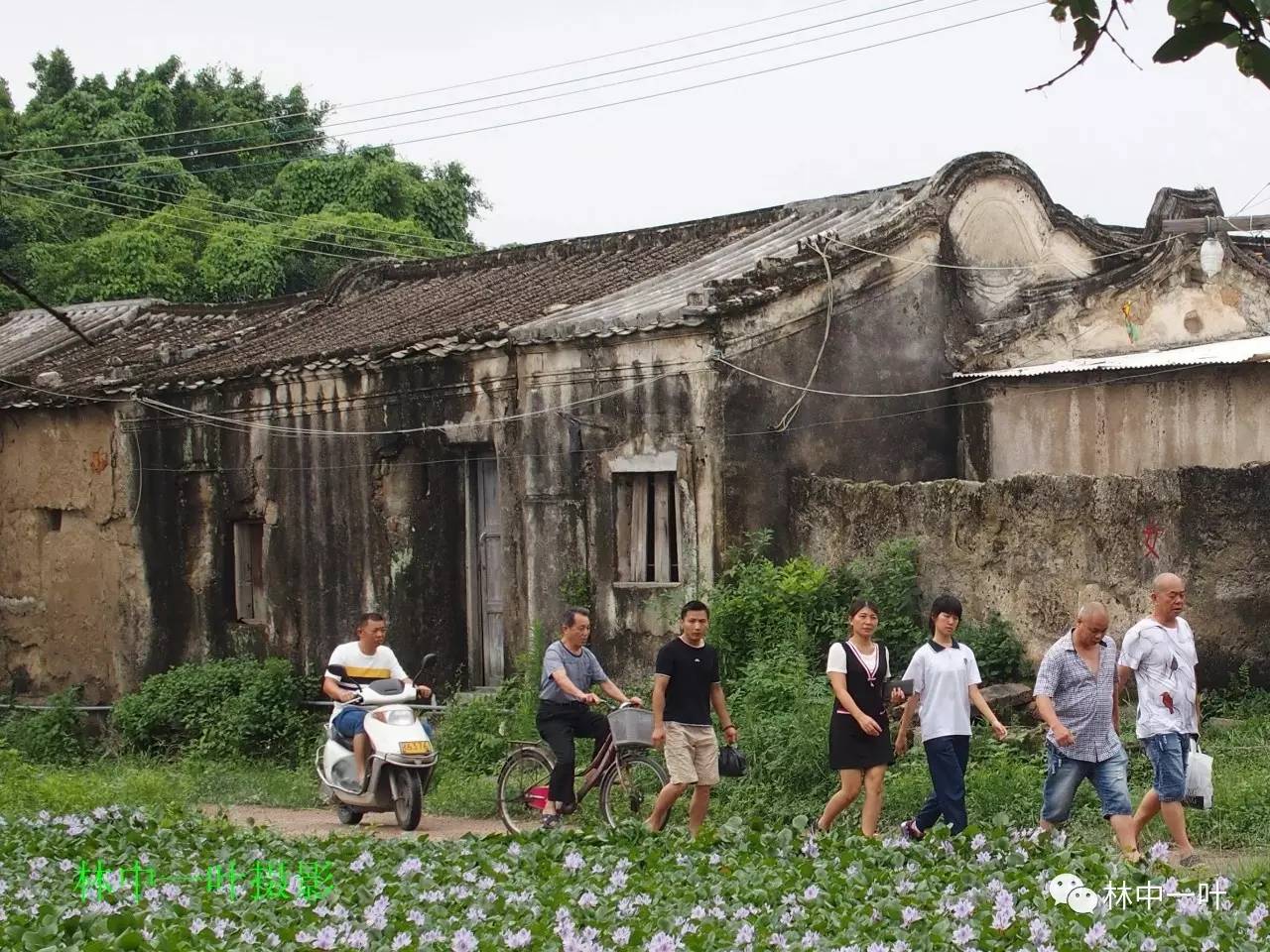 浮洋仙庭人口_仙气女生头像真人