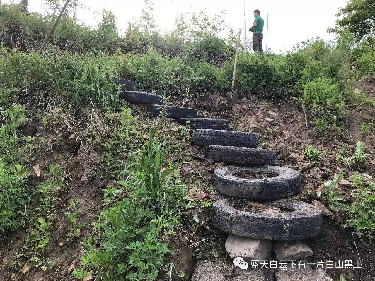 垒了7个轮胎,在下边看起来快垒完了,其实还没有一半.