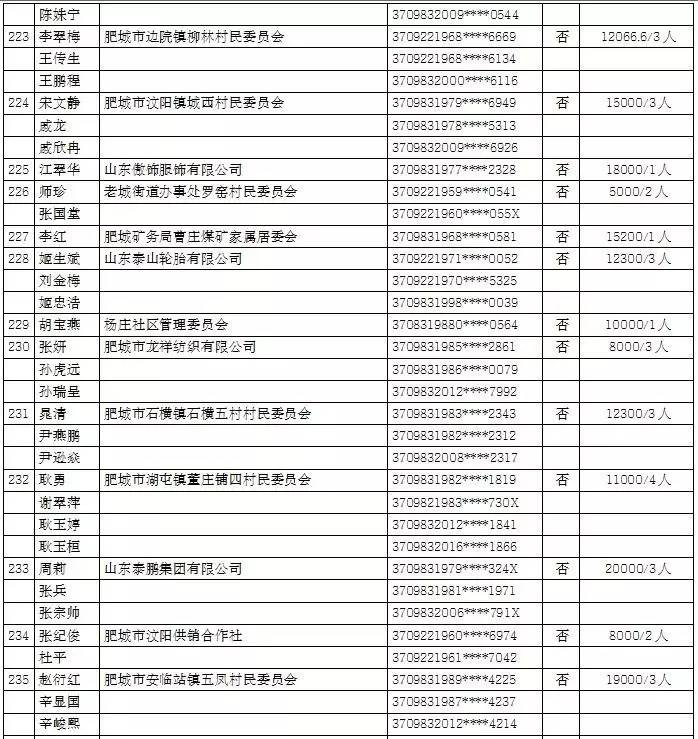 肥城市2017经济总量_肥城市经济开发区董彪