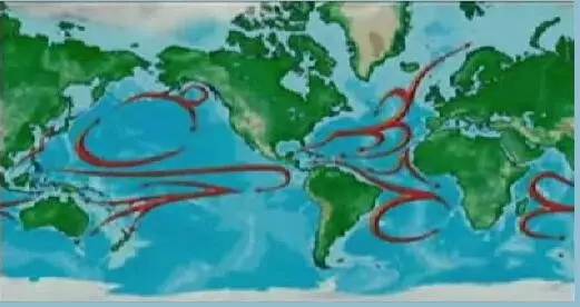 【揭秘】海水的运动:表层洋流,上升流,深部洋流
