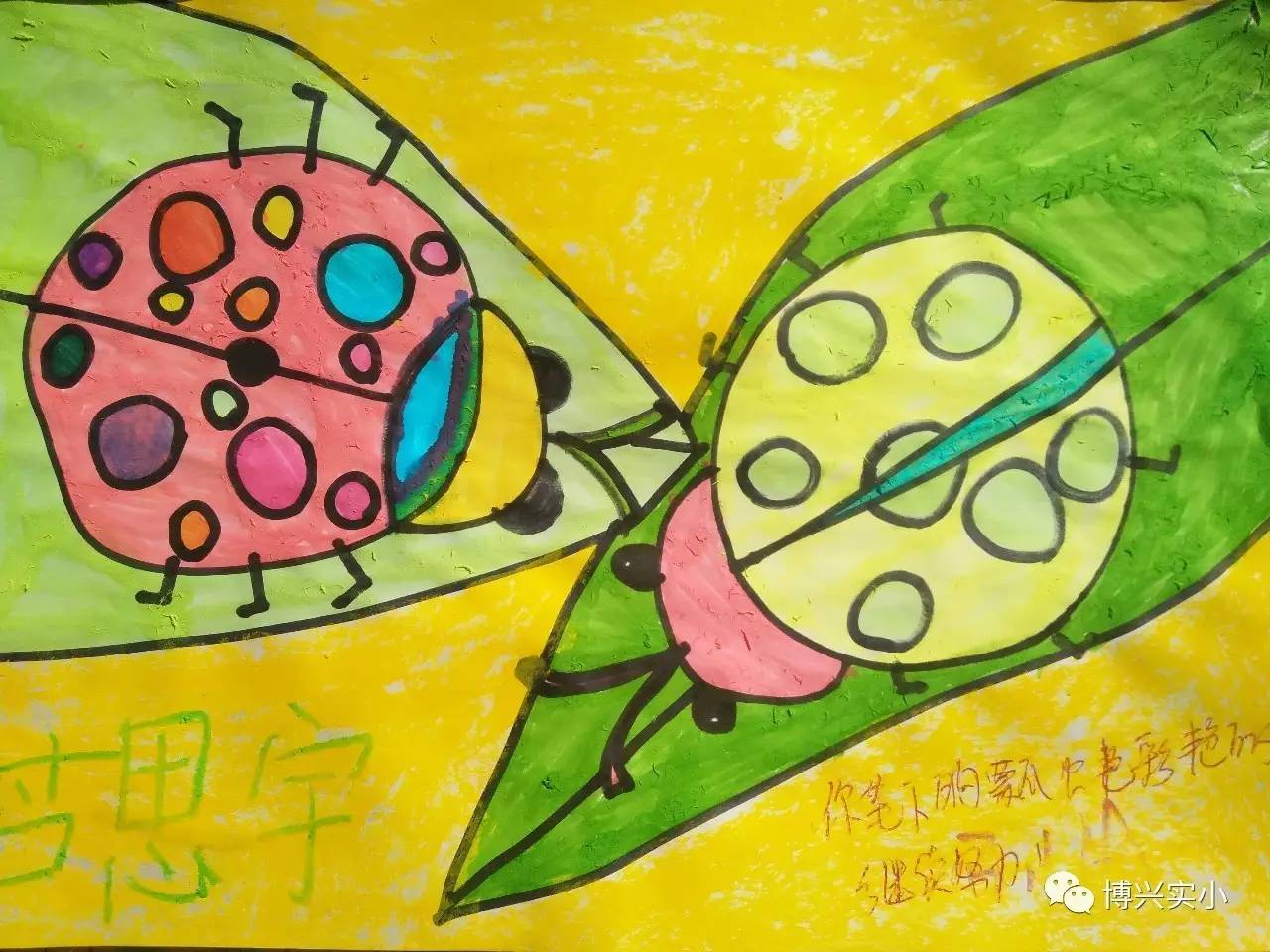 【美术常规亮点】瓢虫的花衣裳——美术作业