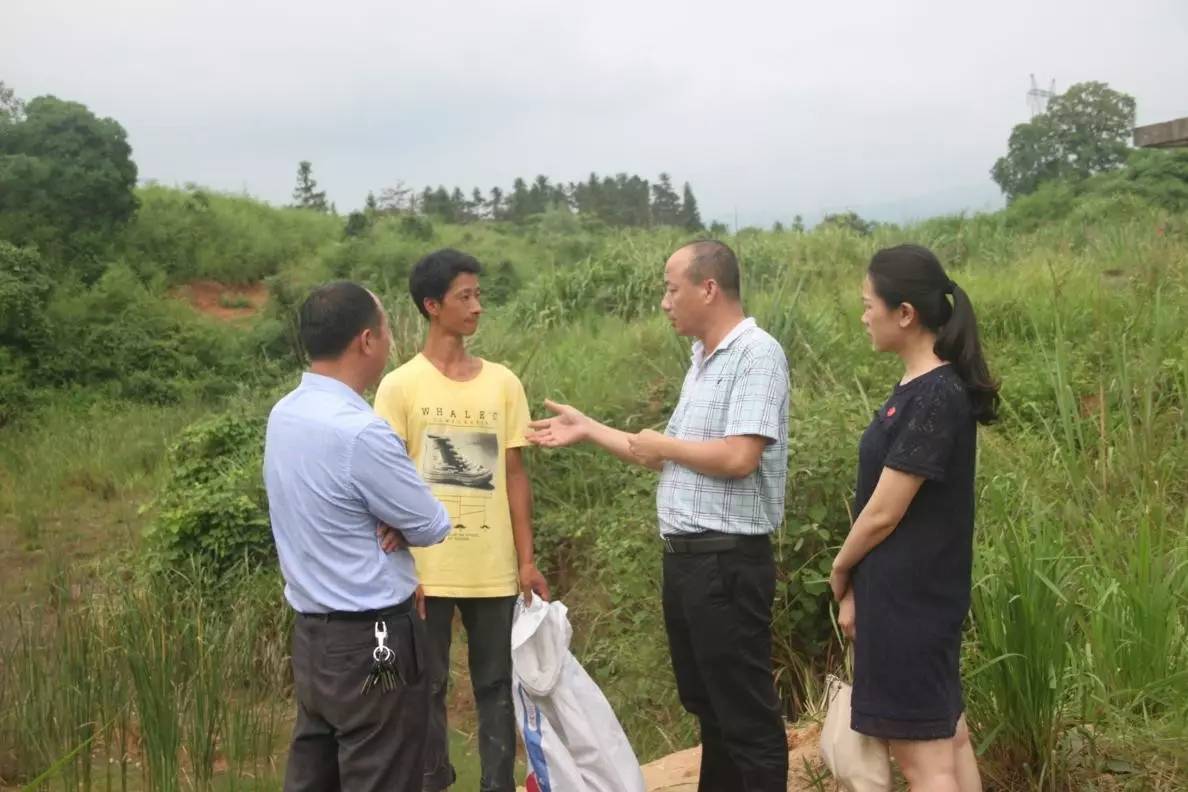 扶贫帮扶人员与陈易志正在商讨,如何通过电商渠道把土鸡土鸭卖出去.