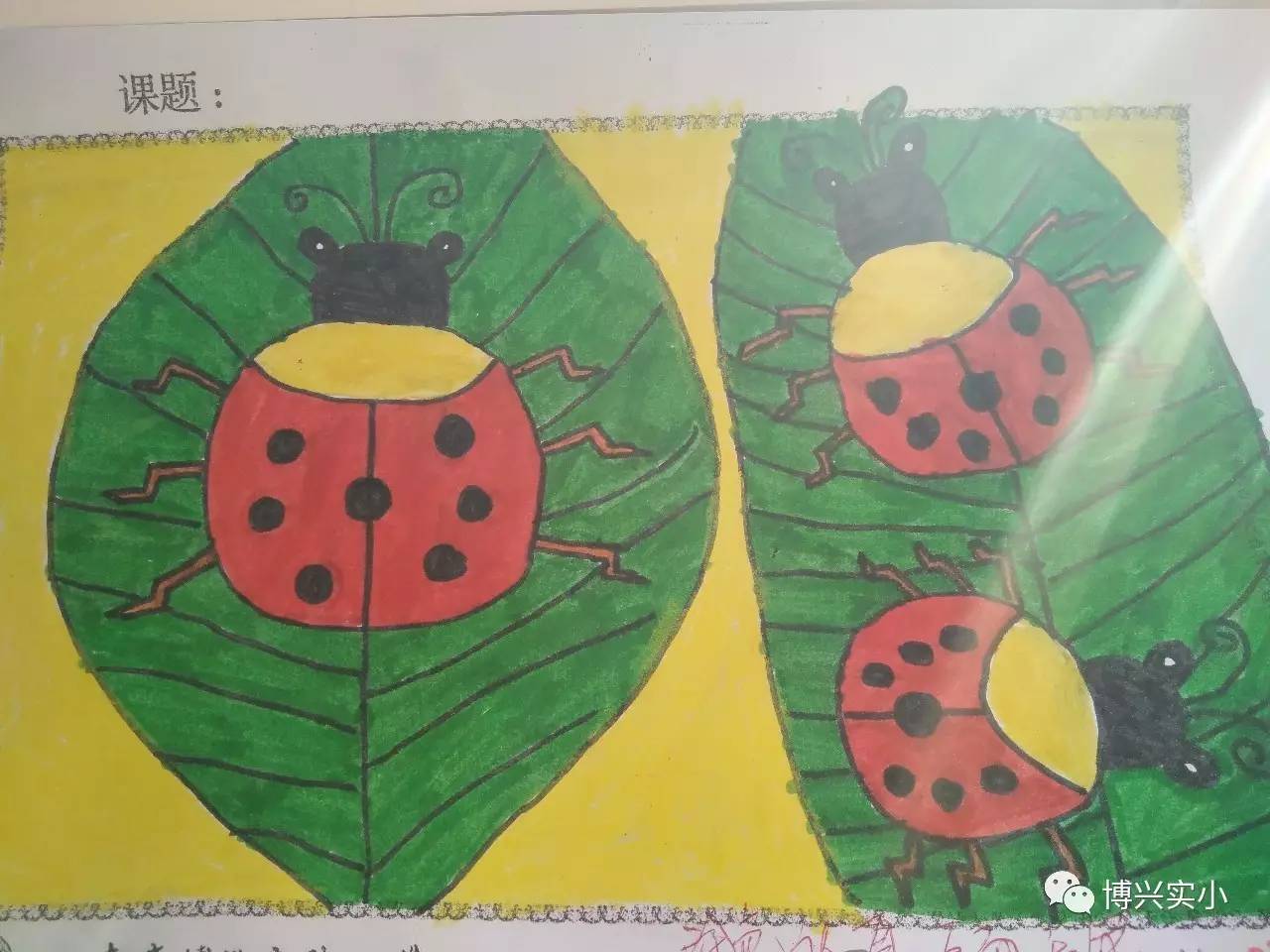 少儿简单儿童画 好看简笔画七星瓢虫的画法图解 咿咿呀呀儿童手工网