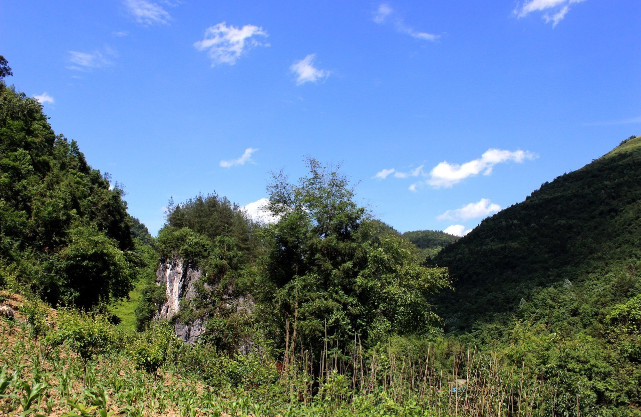 龙门"的自然风光,将花千谷景区,腾龙洞旅游风景区,白鹊山民宿一线串珠