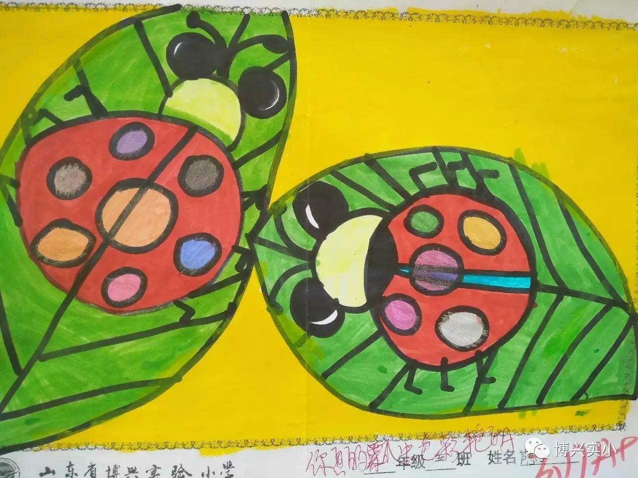 【美术常规亮点】瓢虫的花衣裳——美术作业