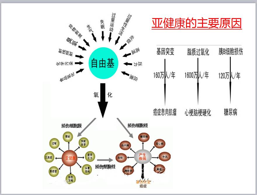 自由基被称为万病之源.