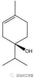 max每日一油化学篇27:单萜醇-松油烯4醇(转帖注明精油侠)