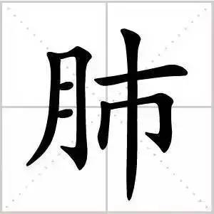 "肺"字右边不是"市"字,而是一竖到底!