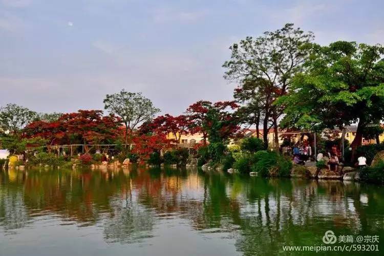 夏日美景-建水小桂湖