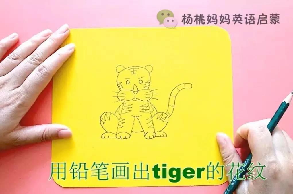 英语萌萌画老虎tiger