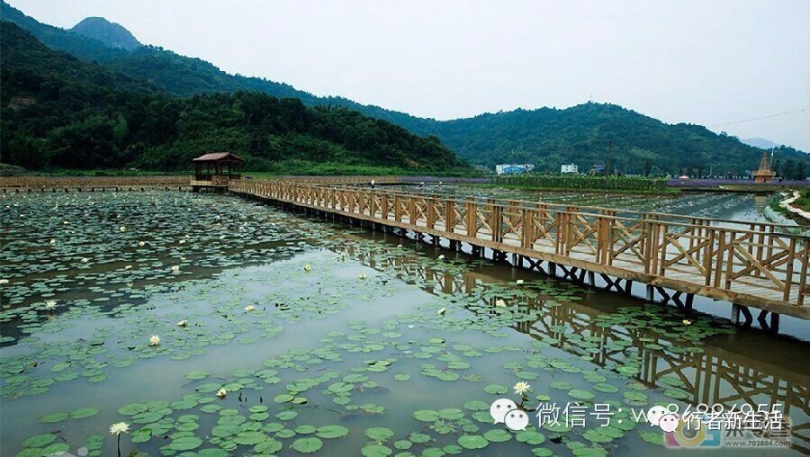 【行者/特别推荐】苍南日月潭农庄: 浪漫花季 休闲憩园