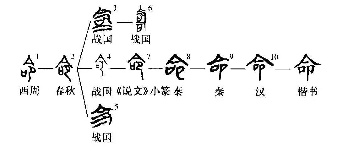 细说汉字:命