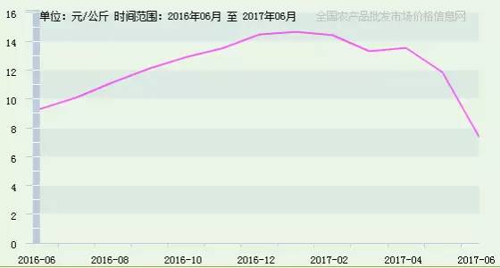 近一年全国大蒜平均批发价格走势图 另外一个导致新蒜价格下滑的原因