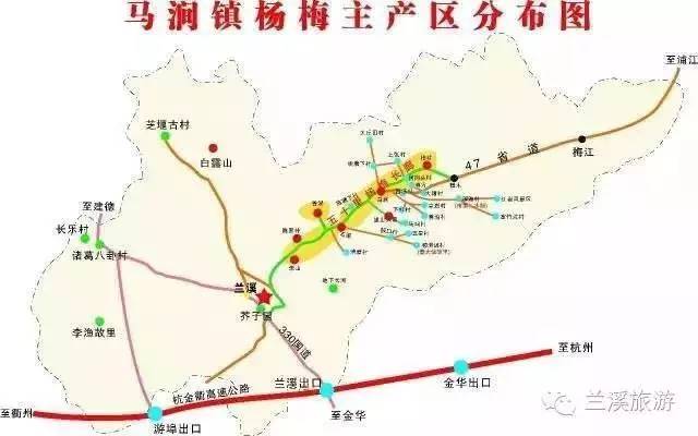 兰溪是浙江省中西部最大的杨梅主产区,浙江省十大精品杨梅县市之一图片